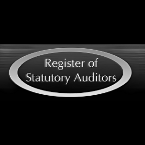 Registry of Statutory Auditors logo, presented in a stark black and white color scheme.